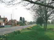 Crosshall Road flowers